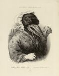 1858 19th_century absurd_res ancient_art animal_head animal_humanoid avian bird bonnet clothed clothing corvid corvus_(genus) crow edmond_hedouin envelope female for_a_head french_text greyscale headgear headwear hi_res holding_object humanoid key monochrome open_mouth oscine passerine solo text