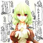  1boy 1girl breast_grab breasts empty_eyes expressionless grabbing green_hair hetero kazami_yuuka large_breasts looking_at_viewer pov red_eyes short_hair short_sleeves simple_background skirt touhou yanmarson 