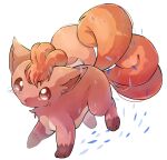  animal_focus artist_name bangs brown_eyes commentary fox full_body highres looking_at_viewer no_humans petals pokemon pokemon_(creature) red_hair shia_(shi12_poke) short_hair signature simple_background solo standing vulpix white_background 