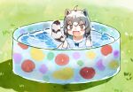  1girl ahoge animal_ears black_hair blush blush_stickers brown_eyes common_raccoon_(kemono_friends) fang kemono_friends open_mouth outdoors pool raccoon_ears raccoon_girl raccoon_tail short_hair solo striped_tail suicchonsuisui swimsuit tail wading_pool water wet 