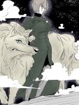  1girl aozaki_touko black_background dress fog gloves green_dress green_eyes grey_fur grey_gloves grey_hair highres lugh_beowulf mahou_tsukai_no_yoru nattsu_(user_fdkh3235) pantyhose werewolf wolf yellow_eyes 