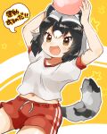  1girl absurdres animal_ears arms_up ball black_hair brown_eyes common_raccoon_(kemono_friends) gym_uniform highres holding holding_ball kemono_friends open_mouth raccoon_ears raccoon_girl raccoon_tail red_shorts shirt shorts solo speech_bubble striped_tail suicchonsuisui t-shirt tail white_shirt yellow_background 
