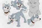 3:2 akita akita_inu angry azzai black_nose brown_collar canid canine canis cheek_tuft claws collar collar_only colored colored_sketch digital_drawing_(artwork) digital_media_(artwork) domestic_dog eyebrows facial_tuft fangs feral fur gin_(ginga) ginga_(series) grey_body grey_fur head_scar looking_at_viewer looking_away lying male mammal markings model_sheet multiple_poses nude open_mouth orange_eyes pink_tongue pose question_mark scar simple_background sketch solo spitz standing striped_body striped_fur striped_markings stripes tail teeth tongue tuft white_body white_claws white_eyebrows white_fur