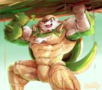  2019 abs anthro biceps big_muscles chesnaught male muscular nintendo pecs pok&eacute;mon pok&eacute;mon_(species) solo veiny_muscles video_games waddledox 