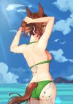  1girl alternate_costume animal_ears arms_up ass bikini blurry blurry_background breasts brown_hair cloud commentary_request donten_(841427259) fine_motion_(umamusume) folded_ponytail green_eyes horse_ears horse_girl horse_tail looking_at_viewer looking_back medium_breasts ocean sky solo swimsuit tail umamusume water 