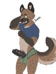  2023 3:4 absurd_res aggressive_retsuko anthro artist_name bastionshadowpaw black_ears black_eyebrows black_foreskin black_glans black_penis blue_clothing blue_shirt blue_topwear brown_body brown_fur brown_tail bulge clothed clothing clothing_lift eyebrows foreskin fur genitals glans green_clothing green_underwear haida hi_res hyena male mammal open_mouth partially_clothed partially_retracted_foreskin penis pubes pupils sanrio shirt shirt_lift solo tail teeth tongue topwear underwear 
