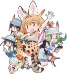  animal_ears black_eyes black_hair blue_eyes brown_hair captain_(kemono_friends) caracal_(kemono_friends) cat_ears cat_girl cat_tail dhole_(kemono_friends) extra_ears glasses gloves green_hair grey_hair hat hat_feather highres kemono_friends kemono_friends_3 mirai_(kemono_friends) northern_white-faced_owl_(kemono_friends) official_art serval_(kemono_friends) shirt shorts tail yoshizaki_mine 