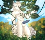  anthro antian_siridean arctic_wolf balls canid canine canis cloud detailed_background erection fur genitals grass green_eyes hair hi_res kyasarin101 looking_at_viewer male mammal nude outside penis plant signature sky smile solo tree vines white_body white_fur wolf 