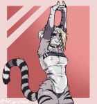  anthro arms_above_head blonde_hair blue_eyes breasts clothing cute_fangs felid female fur grey_body grey_fur gris_swimsuit hair hi_res mammal meme meme_clothing nipples one-piece_swimsuit pantherine solo standing stretching striped_body striped_fur stripes swimwear tiger tigerinspace translucent translucent_clothing translucent_swimwear 