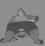  anthro anus bent_over bottomwear bovid bulge caprine clothed clothing hi_res horn horrorbuns looking_back male mammal partially_clothed presenting presenting_anus pulling_pants_down shorts slightly_chubby tail underwear undressing 