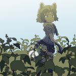  1girl animal_ears blue_shirt commentary_request common_raccoon_(kemono_friends) kemono_friends looking_at_viewer outdoors pleated_skirt puffy_short_sleeves puffy_sleeves raccoon_girl raccoon_tail saboteri_(savot) shirt short_hair short_sleeves skirt solo tail thistle 