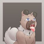  &lt;3 &lt;3_eyes 1:1 absurd_res ambiguous_gender anthro begging blue_eyes bodily_fluids canid canine canine_teeth canis chest_tuft cum cum_in_mouth cum_inside domestic_dog fangs fluffy fluffy_tail generation_7_pokemon genital_fluids glistening glistening_eyes hi_res i_will_dance_only_if_the_beat_is_funky invalid_tag looking_up mammal neck_tuft nintendo pokemon pokemon_(species) rockruff solo tail teeth tongue tongue_out tuft 