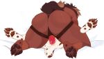  2022 4_toes anthro anthro_on_anthro anthro_penetrated anthro_penetrating anthro_penetrating_anthro bed_sheet bedding brown_body brown_fur brown_pawpads brown_tail butt canid canine canis digital_media_(artwork) dildo dildo_in_pussy dildo_insertion domestic_dog duo feet female female/female female_penetrated female_penetrating female_penetrating_female fur genitals hair hi_res hindpaw mammal pawpads paws penetration pussy rear_view sapphicspots scut_tail sex sex_toy sex_toy_in_pussy sex_toy_insertion short_tail simple_background spots spotted_body spotted_fur strapon tail tan_hair tan_tail toes vaginal vaginal_penetration white_background 