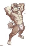  2026 abs anthro asian_clothing athletic athletic_anthro athletic_male black_nose blue_eyes bulge canid canine clothed clothing east_asian_clothing fluffy fluffy_tail fundoshi fundoshi_only hands_behind_head hi_res japanese_clothing jewelry kemono kumak71395 looking_at_viewer male mammal necklace nipples pointy_ears simple_background solo tail topless underwear underwear_only 