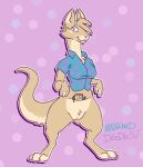  anthro breasts crossgender female genitals hi_res kangaroo looking_at_viewer macropod maddworld mammal marsupial nickelodeon pantsless pouch_(anatomy) pussy rocko&#039;s_modern_life rocko_rama solo 