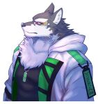  anthro canid canine canis clothing domestic_dog fluffy_chest green_eyes hoodie husky jewelry lifewonders live_a_hero male mammal monomasa muscular muscular_anthro muscular_male necklace nordic_sled_dog red_sclera sakuhuu simple_background solo spitz topwear white_background 