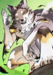 2026 5_fingers amber_eyes ankh ankh_(minelodywolf) ankh_necklace anthro biped black_claws black_pawpads brown_body brown_fur canid canine canis chiayeeee chromatic_aberration claws countershade_arms countershade_face countershade_legs countershade_neck countershade_tail countershade_torso countershading digital_drawing_(artwork) digital_media_(artwork) finger_claws fingerpads fingers foreshortening front_view full-length_portrait fur gesture green_background greeting_viewer grey_body grey_fur hi_res inner_ear_fluff jewelry looking_at_viewer low-angle_view male mammal multicolored_body multicolored_fur neck_tuft necklace northwestern_wolf nude nude_anthro nude_male one_eye_closed pawpads portrait pose pupils salute simple_background smile smiling_at_viewer smirk snout solo tail teeth toe_claws tuft white_body white_claws white_countershading white_fur white_inner_ear_fluff wink winking_at_viewer wolf yellow_body yellow_fur
