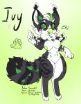 anthro artist_name big_ears biped black_body black_feathers breasts character_name feathers female female_anthro female_symbol fur gender_symbol gradient_background green_background green_body green_fur green_nipples green_pawpads grey_body grey_fur hi_res ivy_(electrotiel) leaf model_sheet neck_tuft nipples pawpads simple_background solo species_name standing sunstroke_(artist) symbol teacup_gryphon text tuft white_body white_feathers white_fur