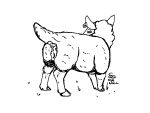 animal_genitalia animal_vulva anus bovid bovine_genitalia bovine_vulva caprine ear_piercing ear_tag female feral genitals looking_at_viewer looking_back mammal piercing presenting presenting_anus presenting_vulva qwaxi~lixard raised_tail sheep solo tail vulva