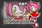  amy_rose animal_ears bracelet character_name dress gloves gold_bracelet green_eyes hairband hedgehog_girl jewelry lowres multicolored_shoes official_art pink_fur red_dress red_hairband red_shoes shoes sleeveless sleeveless_dress sonic_(series) sonic_battle translated two-tone_shoes white_gloves white_shoes zoom_layer 