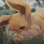  blurry blurry_background brown_eyes closed_mouth commentary_request eevee fluffy grass half-closed_eye lying momomo12 nature no_humans on_stomach outdoors pokemon pokemon_(creature) pokemon_focus smile twitter_username 