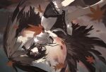  1girl absurdres autumn_leaves bird_wings black_ribbon black_skirt breasts brown_wings chinese_commentary commentary_request falling_leaves feathered_wings frilled_skirt frills hat highres holding leaf looking_at_viewer maple_leaf neck_ribbon partial_commentary pointy_ears pom_pom_(clothes) puffy_short_sleeves puffy_sleeves red_eyes red_hat ribbon ribbon-trimmed_skirt ribbon_trim shameimaru_aya shirt short_sleeves skirt small_breasts smile solo tokin_hat touhou white_shirt wings yellllll 