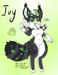 anthro artist_name big_ears black_body black_feathers breasts character_name english_text feathers featureless_breasts female female_symbol fur gender_symbol gradient_background green_background green_body green_fur green_pawpads grey_body grey_fur hi_res ivy_(electrotiel) leaf model_sheet neck_tuft pawpads simple_background solo species_name sunstroke_(artist) symbol teacup_gryphon text tuft white_body white_feathers white_fur