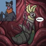 antennae_(anatomy) anthro arthropod arthropod_abdomen bat comic duo endosoma hi_res insect inside_stomach internal kite lepidopteran male male/male mammal megabat moth organs root safe_vore shinktanoro stomach string swallowed vore winged_arms wings