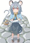  1girl absurdres animal_ear_fluff animal_ears basket black_skirt black_vest blue_capelet capelet chinese_commentary closed_mouth commentary_request crossed_arms frown full_body grey_hair highres holding holding_with_tail jewelry long_sleeves looking_at_viewer medium_hair mouse_(animal) mouse_ears mouse_girl mouse_tail nazrin pendant prehensile_tail red_eyes shirt skirt solo tail touhou vest white_shirt zheng_(pixiv_101593236) 