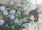  1girl absurdres brown_hair commentary_request day flower highres holding holding_umbrella hydrangea original outdoors rain sasaxxxx06 shirt solo transparent transparent_umbrella umbrella white_shirt 