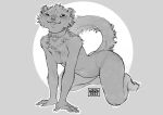  2023 all_fours anthro artist_name azuza beady_eyes blep butt cheek_tuft chest_tuft collar dated facial_tuft female head_tuft hi_res inner_ear_fluff mammal monochrome mustelid musteline neck_tuft nude shoulder_tuft simple_background solo species_request tongue tongue_out true_musteline tuft weasel 