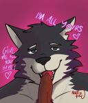  anthro canid canine canis chain chubby_male eyebrows fellatio fur fur_markings genitals grey_body grey_fur hi_res jewelry knot knot_fucking licking looking_at_viewer looking_pleasured male male/male mammal markings matt_(nadizguy) nadizguy open_mouth oral penile penis penis_lick purple_body purple_fur raised_eyebrow sex smile smiling_at_viewer teeth text text_with_heart tongue tongue_out toothy_fellatio wolf 