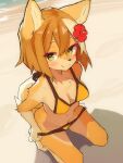 absurd_res accessory anthro beach biped blush blush_lines breasts brown_hair canid canine canis clothing clothing_pull curled_tail domestic_dog female flower flower_in_hair fur golden_week hair hair_accessory hi_res lilkon looking_at_viewer mammal medium_breasts nipple_outline outside panties panty_pull plant rin_(lilkon) solo swimwear tail tan_body tan_fur two-piece_swimsuit underwear underwear_pull yellow_body yellow_eyes yellow_fur