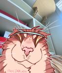 anthro artist_name blush blush_lines digital_media_(artwork) domestic_cat fangs felid feline felis fur hi_res looking_at_viewer male mammal meme meme_face panicdragon panicdragon_(character) redraw rigby_the_cat shelf silly silly_face solo teeth text whiskers