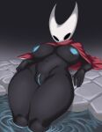 2_horns 4_fingers arachnid areola arthropod big_breasts biped black_body blue_areola blue_vulva breasts chermat cloak clothing female fingers genitals hi_res hollow_knight_(franchise) horn hornet_(hollow_knight) nipples red_cloak red_clothing solo spider team_cherry vulva