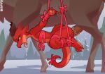 ahegao ambiguous_penetration anthro anthro_on_feral bdsm belly_riding bent_legs bestiality bodily_fluids bondage borvar bound deer drooling eye_roll faceless_character faceless_male female female_on_feral feral flat_chested genital_fluids genitals hi_res kobold kriira looking_pleasured male mammal new_world_deer obscured_penetration obscured_sex outside outside_sex penetration penis red_body red_scales reindeer ribbon_bondage ribbons saliva scales scalie sex side_view snow spread_arms submissive submissive_anthro submissive_female suspended_by_penis teardrop tears tongue tongue_out vein veiny_penis