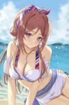 1girl absurdres bikini blue_eyes blue_sky blush breasts brown_hair cleavage closed_mouth commentary_request dangle_earrings earrings esuma_gt gakuen_idolmaster hair_between_eyes head_tilt highres himesaki_rinami idolmaster jewelry kimi_to_semi_blue_(idolmaster) large_breasts looking_at_viewer navel necklace sky solo stomach swimsuit tassel tassel_earrings tucking_hair white_bikini 