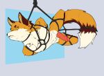  absurd_res anthro bdsm big_tail bondage bound canid canine captured corginamedbruno digital_media_(artwork) erection fox fur genitals hi_res knot lox_keeki male mammal nude penile penis restraints rope rope_bondage rope_harness simple_background solo submissive tail ych_result 