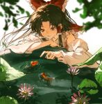  1girl absurdres aihara-rina bow brown_hair chinese_commentary commentary_request detached_sleeves fish flower frilled_bow frilled_hair_tubes frills goldfish hair_bow hair_tubes hakurei_reimu highres long_hair multicolored_flower pink_flower red_bow red_eyes ripples solo touhou water water_lily_flower white_flower 