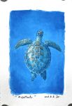  absurdres animal animal_focus border commentary cool_colors dated english_commentary from_above highres katayama_joe no_humans ocean original sea_turtle traditional_media turtle underwater white_border 
