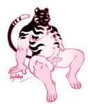  absurd_res anthro biped boypretties felid genitals hi_res male mammal nipples pantherine penis solo stripes tiger 