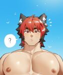  1boy ? animal_ears bara bird blue_sky blush commentary dog_boy dog_ears earrings highres jewelry kemonomimi_mode komano_manato male_focus multicolored_hair muscular muscular_male nipples pectorals scar scar_across_eye scar_on_chest scar_on_face shiki_1901 sky speech_bubble spoken_question_mark topless_male upper_body zenless_zone_zero 