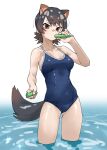  1girl animal_ears bare_arms bare_shoulders black_hair blue_one-piece_swimsuit breasts brown_eyes brown_hair collarbone commentary cowboy_shot extra_ears food food_in_mouth gradient_hair highres holding holding_food holding_popsicle kemono_friends kemono_friends_3 looking_at_viewer medium_breasts multicolored_hair one-piece_swimsuit popsicle popsicle_in_mouth popsicle_stick short_hair solo swimsuit tanabe_(fueisei) tasmanian_devil_(kemono_friends) tasmanian_devil_ears tasmanian_devil_tail tupet unequal_popsicle_division wading water 