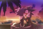  1boy 1girl alternate_costume animal_ears blaze_the_cat blush cape cat_ears cat_girl cat_tail fur_trim furry gradient_sky hand_on_another's_face hedgehog_boy kiss nanadoesart ocean palm_tree purple_sky sitting sky sonic_(series) sonic_the_hedgehog tail tree twilight wide-eyed 