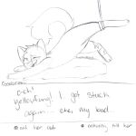  2022 cinderpelt_(warriors) domestic_cat felid feline felis female feral freckledcoat leg_scar mammal options scar sketch solo warriors_(cats) 