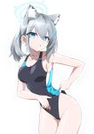  1girl absurdres animal_ear_fluff animal_ears bangs black_one-piece_swimsuit blue_archive blue_eyes breasts clothes_pull competition_swimsuit covered_navel cowboy_shot cross_hair_ornament extra_ears grey_hair hair_ornament halo highres leaning_forward low_ponytail medium_breasts medium_hair mismatched_pupils multicolored_clothes multicolored_swimsuit one-piece_swimsuit one-piece_swimsuit_pull projectorzero shiroko_(blue_archive) shiroko_(swimsuit)_(blue_archive) simple_background solo swimsuit white_background 