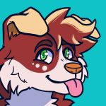  1:1 ambiguous_gender anthro blep blue_background brown_body brown_fur brown_hair canid canine canis cheek_tuft closed_smile domestic_dog facial_spots facial_tuft floppy_ears fur glistening glistening_eyes green_eyes hair headshot_portrait kiwyne looking_at_viewer mammal mouth_closed multicolored_body multicolored_fur orange_nose pink_tongue portrait simple_background solo spotted_face tan_body tan_fur tan_hair tongue tongue_out tuft unsigned white_body white_fur 