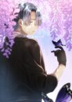  1boy asagi_nanase blue_sky brown_gloves brown_jacket bug butterfly butterfly_on_hand cherry_blossoms gloves grey_eyes grey_hair highres jacket kirisaki_shidou long_sleeves looking_at_viewer looking_back male_focus milgram mole mole_under_eye parted_lips purple_butterfly short_hair sky solo 