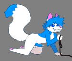  anthro blue_penis canid canine catboyjail fox genitals hi_res hypno_eyes hypnosis leash male mammal mind_control penis petplay roleplay solo solo_focus 