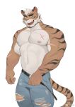  1boy abs animal_ears bara beard blue_eyes bulge clothes_pull cowboy_shot cross_scar facial_hair forked_eyebrows frde furry furry_male green_eyes highres large_pectorals male_focus mature_male muscular muscular_male navel navel_hair nipples original pants pants_pull pectorals scar scar_on_arm scar_on_chest seductive_smile short_hair sideburns smile solo stomach tail thick_eyebrows thick_thighs thighs tiger_boy tiger_ears tiger_tail topless_male torn_clothes torn_pants 
